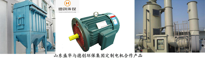 山東電機廠,環(huán)保設(shè)備專用電機,電機定制