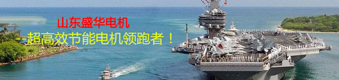 鉆機(jī)設(shè)備專(zhuān)用電機(jī) 鉆機(jī)設(shè)備專(zhuān)用電機(jī)