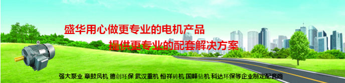 山東電機廠,玉米脫粒設備專用電機,電機定制