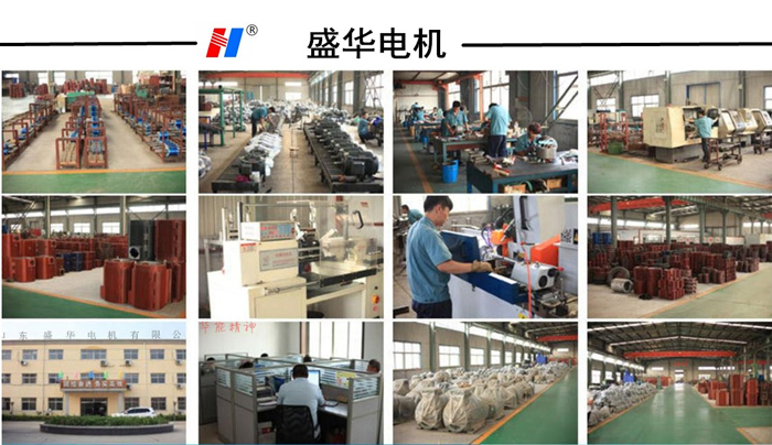 山東電機(jī)廠,磚機(jī)專用電機(jī),電機(jī)定制 山東電機(jī)廠,磚機(jī)專用電機(jī),電機(jī)定制