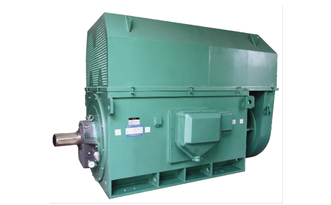 山東電機(jī)廠,盛華電機(jī),三相電動(dòng)機(jī),三相異步電動(dòng)機(jī)