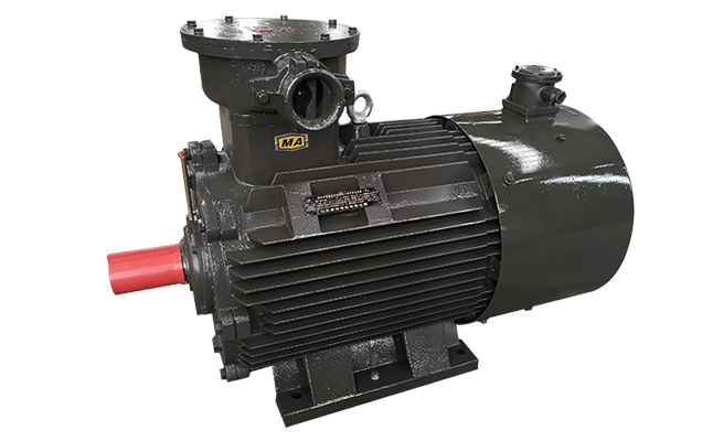 防爆電機(jī)廠,變頻電機(jī),防爆電機(jī),變頻防爆電動機(jī)