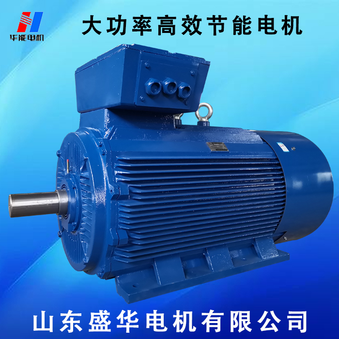 山東電機(jī)廠,電機(jī)生產(chǎn)廠家,大功率電機(jī)