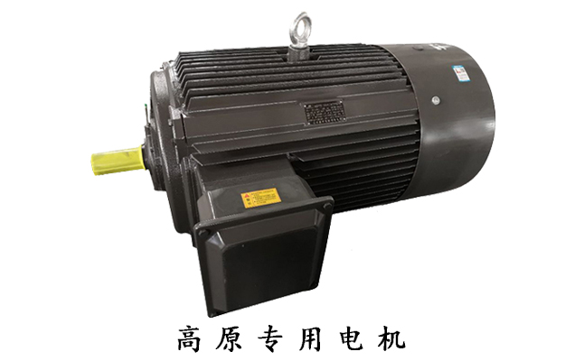 高原電機廠,高原電機,電機生產(chǎn)廠家