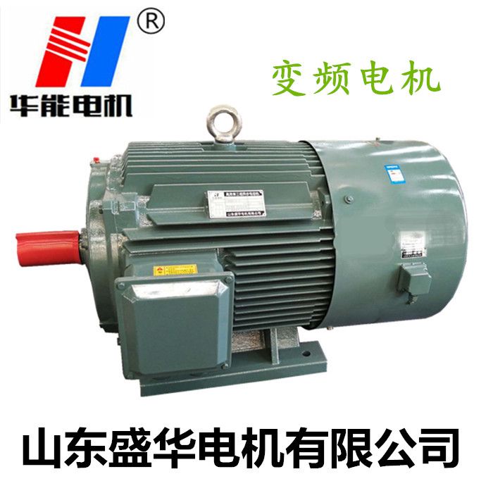 電機廠,變頻電機廠,變頻調速電動機,電動機