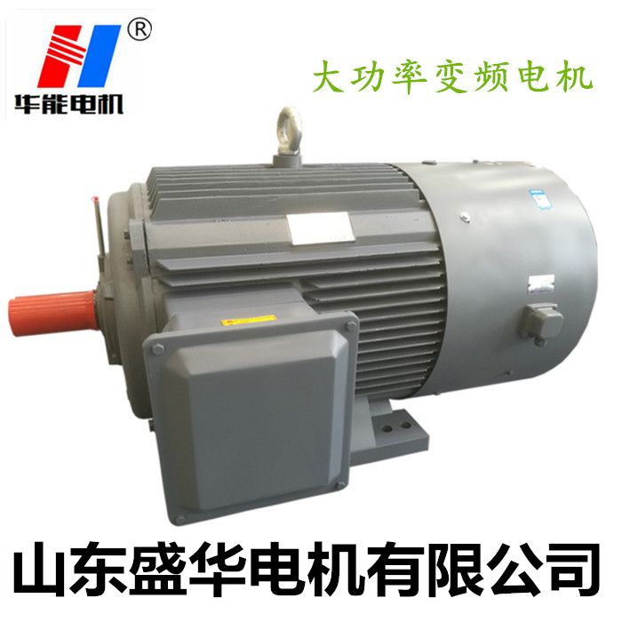 山東電機(jī)廠,三相異步電動機(jī),調(diào)速電機(jī),電動機(jī)