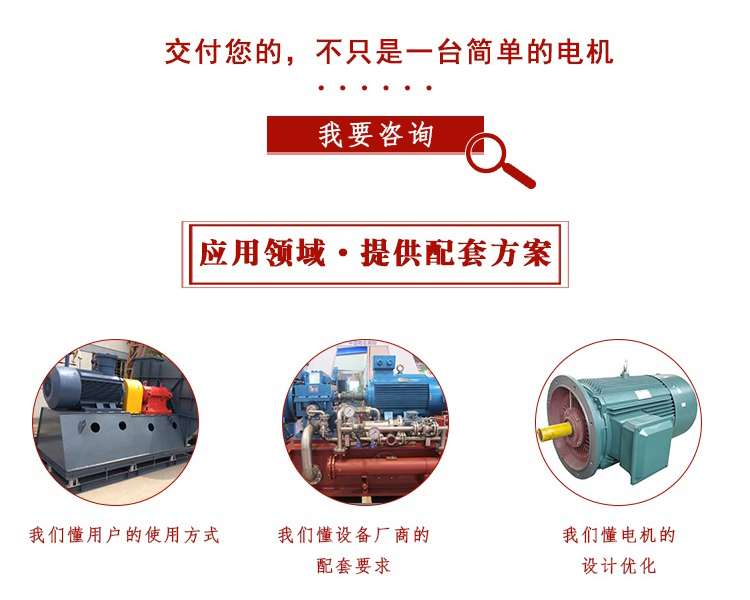 山東電機廠,電機生產廠家,大功率電機,戶外電機