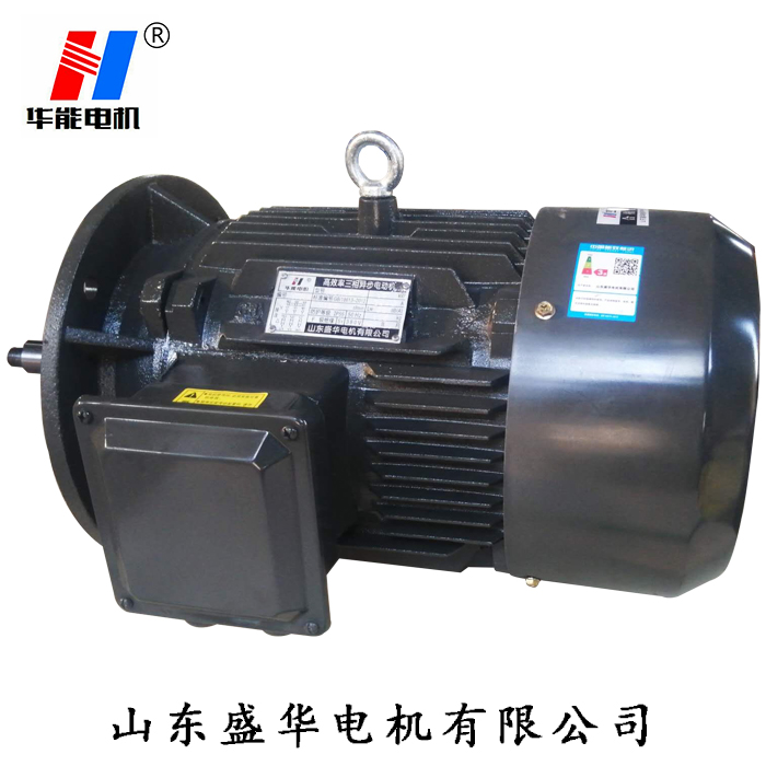 山東電機(jī)廠,盛華電機(jī),耐高溫電動機(jī),三相異步電機(jī)