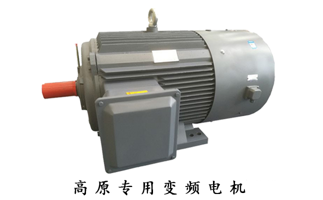 山東盛華高原專用變頻電機(jī)