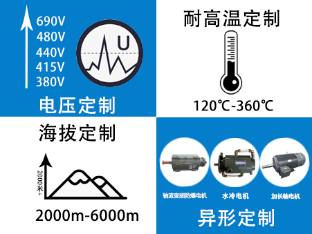 電機定制生產(chǎn)廠家